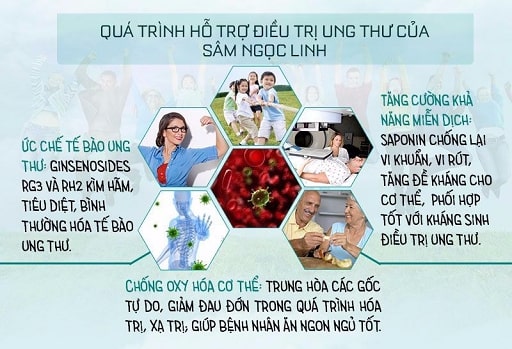 sâm Ngọc Linh có tác dụng gì 2